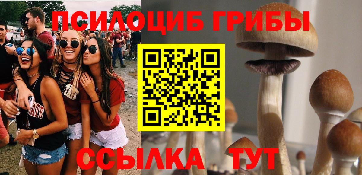 Галлюциногенные грибы Magic Shrooms Михайловск