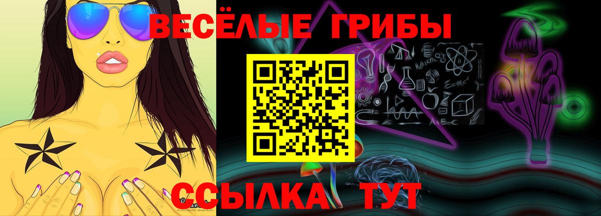 Псилоцибиновые грибы MAGIC MUSHROOMS  Псилоцибиновые грибы GOLDEN TEACHER  Вход с VPN  Михайловск 